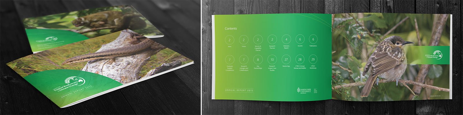 Annual Report by Zephyrmedia