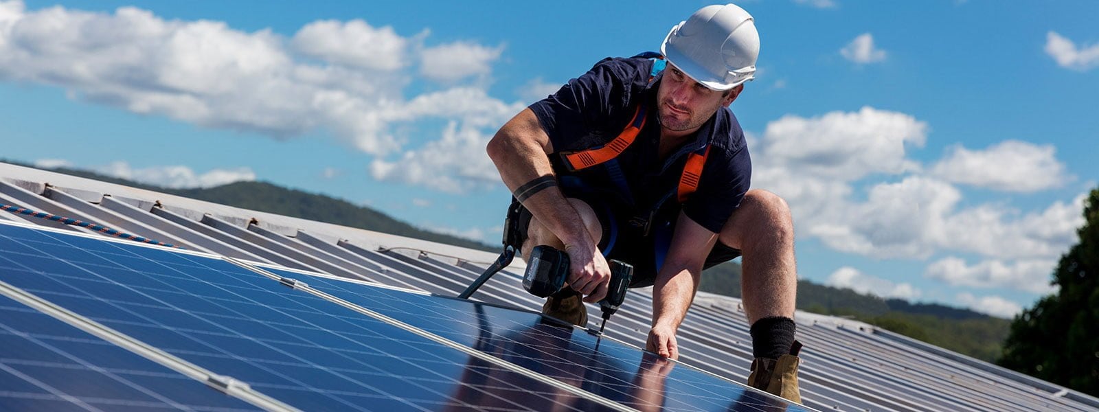 Website by Zephyrmedia