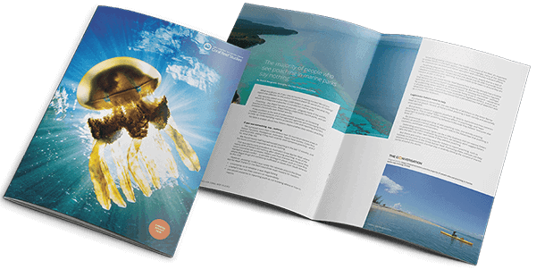 Coral Reef Studies Annual Report by Zephyrmedia
